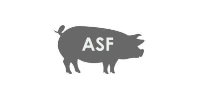 Rozporządzenie Nr 38/2025