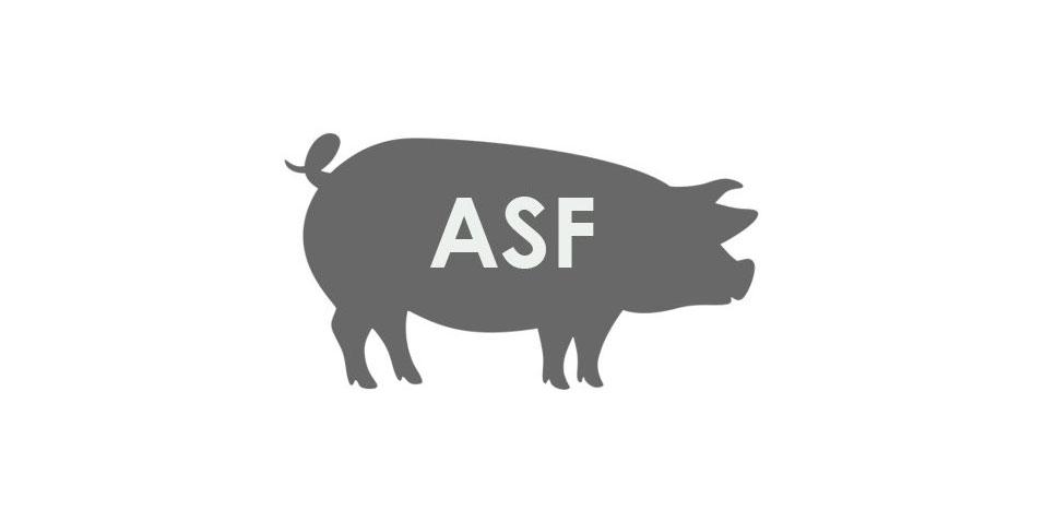 Rozporządzenie Nr 38/2025